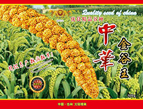 中华金谷王