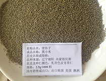 清谷子黑小米