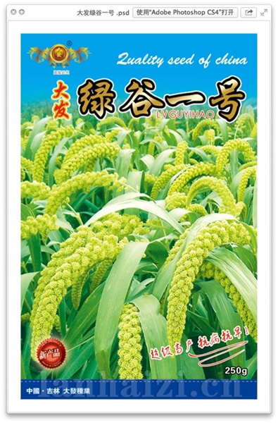 绿谷一号