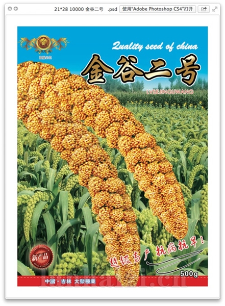 金谷二号