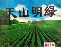 天山明绿