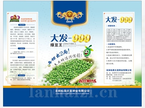 大发999