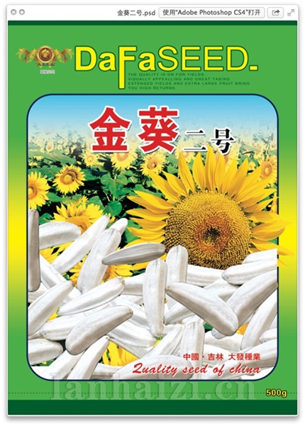 金葵二号