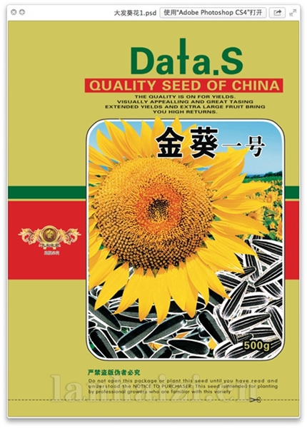 金葵一号