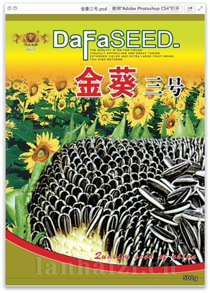 金葵三号