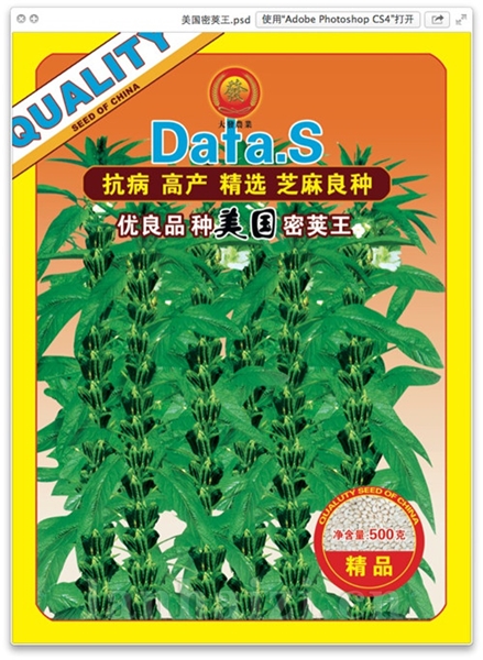 优良品种美国密荚王
