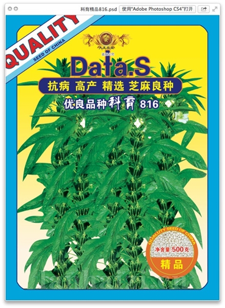 优良品种科育886