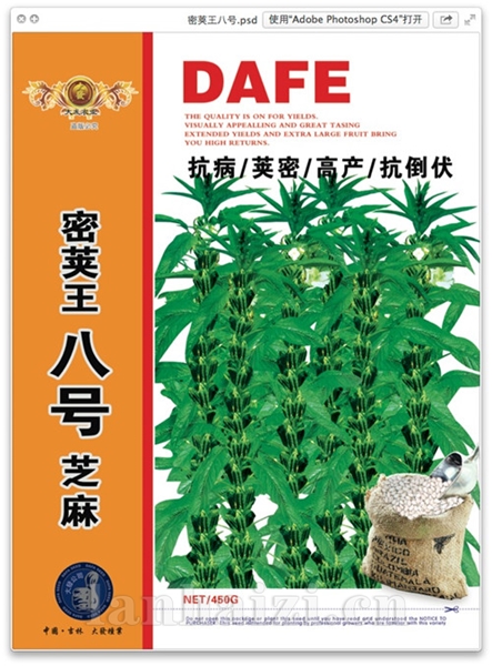 密荚王八号