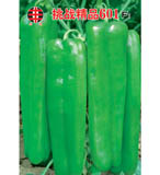 挑战精品601F1