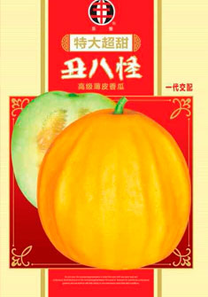 丑八怪