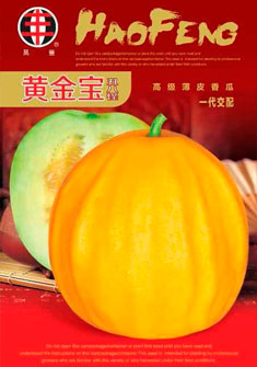 黄金宝