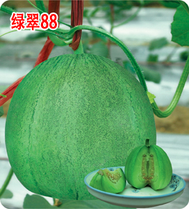 绿翠88