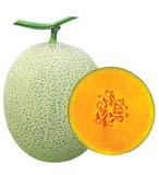 香橙