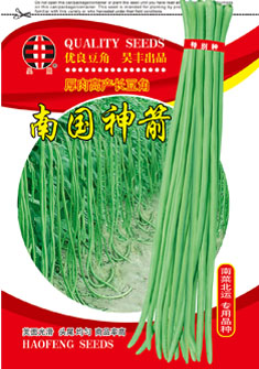 南国神箭