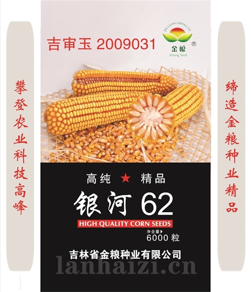 金粮银河62