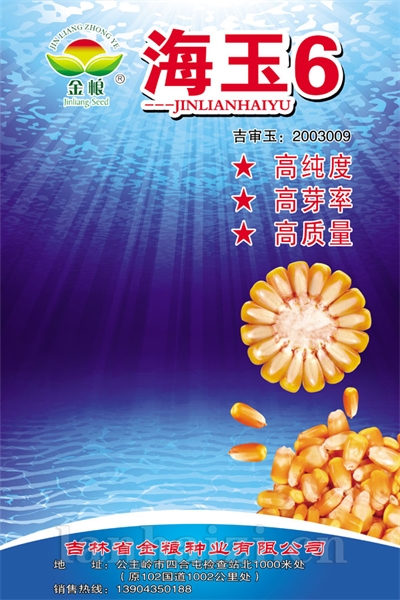 海玉6