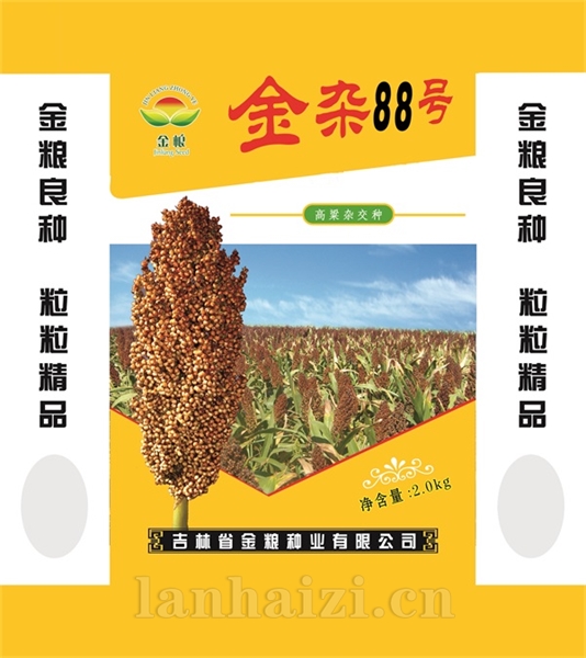 金杂88号