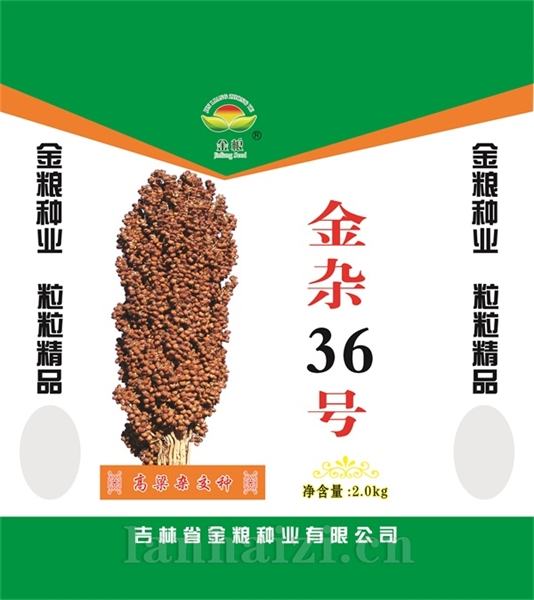 金杂36