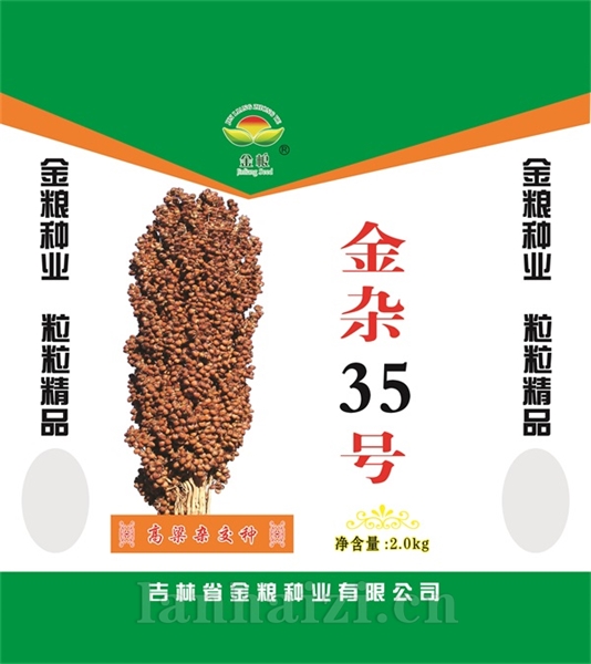 金杂35号