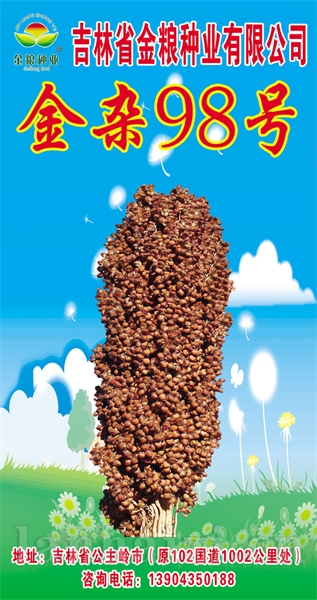 金杂98号