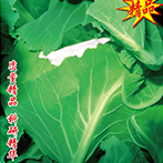 未来