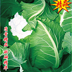 理想