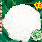 松花1号