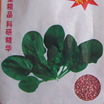 抗病冠军