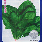 丹麦春夏菠菜王