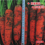 特选极品红