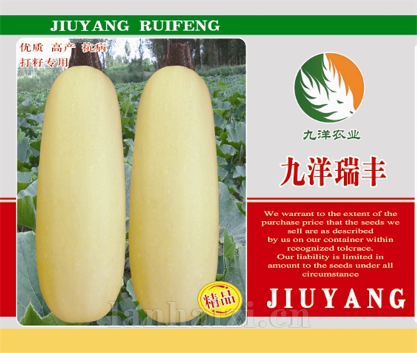 九洋瑞丰