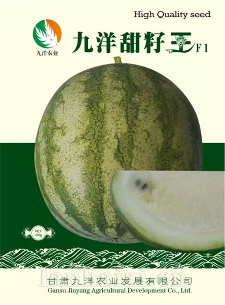 美甜1号（九洋甜籽王）