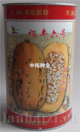 裕丰6号——打籽用西葫芦