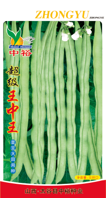 超级王中王——豆类