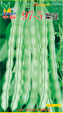 97-5架豆——豆类