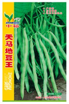 天马地豆王——豆类
