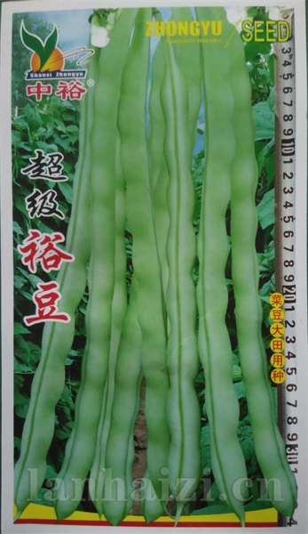 超级裕豆——豆类