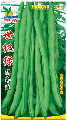 世纪绿——豆类