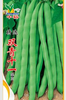 特选双青十一——豆类