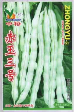 赤玉三号——豆类