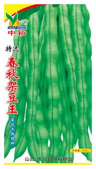 春秋架豆王——豆类