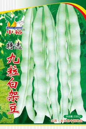 精选九粒白——豆类