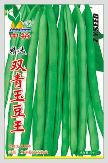 双青玉豆王——豆类