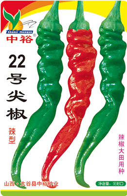 22号尖椒——其他类