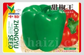 甜椒王——其他类