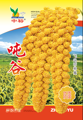 吨谷——其他类
