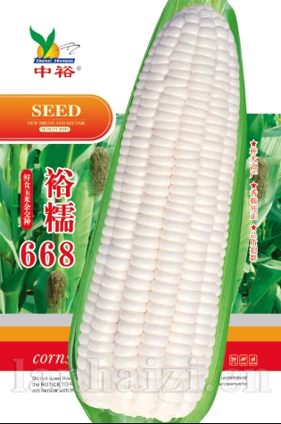 裕糯668——其他类