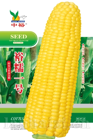 裕糯一号——其他类