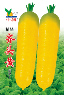 齐头黄——其他类