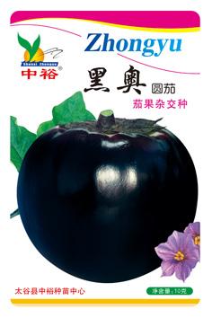 黑奥圆茄——其他类